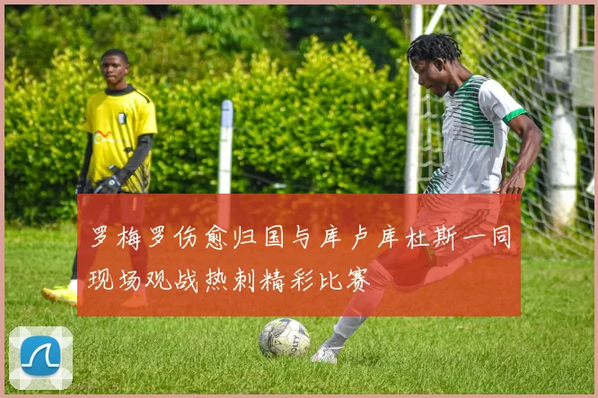 罗梅罗伤愈归国与库卢库杜斯一同现场观战热刺精彩比赛